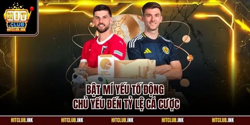 Bật mí yếu tố động chủ yếu đến tỷ lệ cá cược
