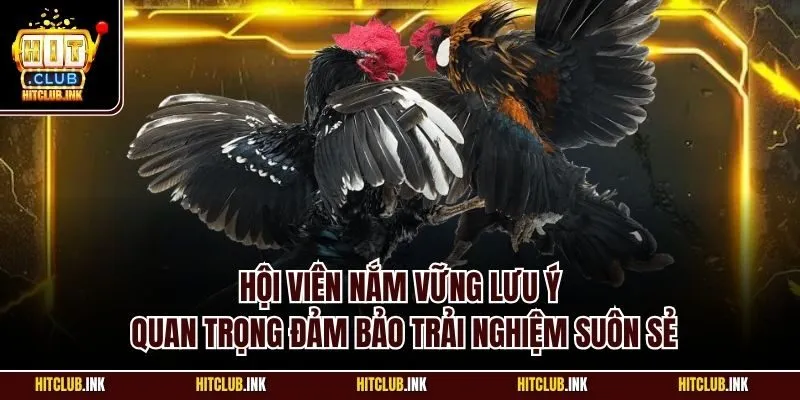 Hội viên nắm vững lưu ý quan trọng đảm bảo trải nghiệm suôn sẻ